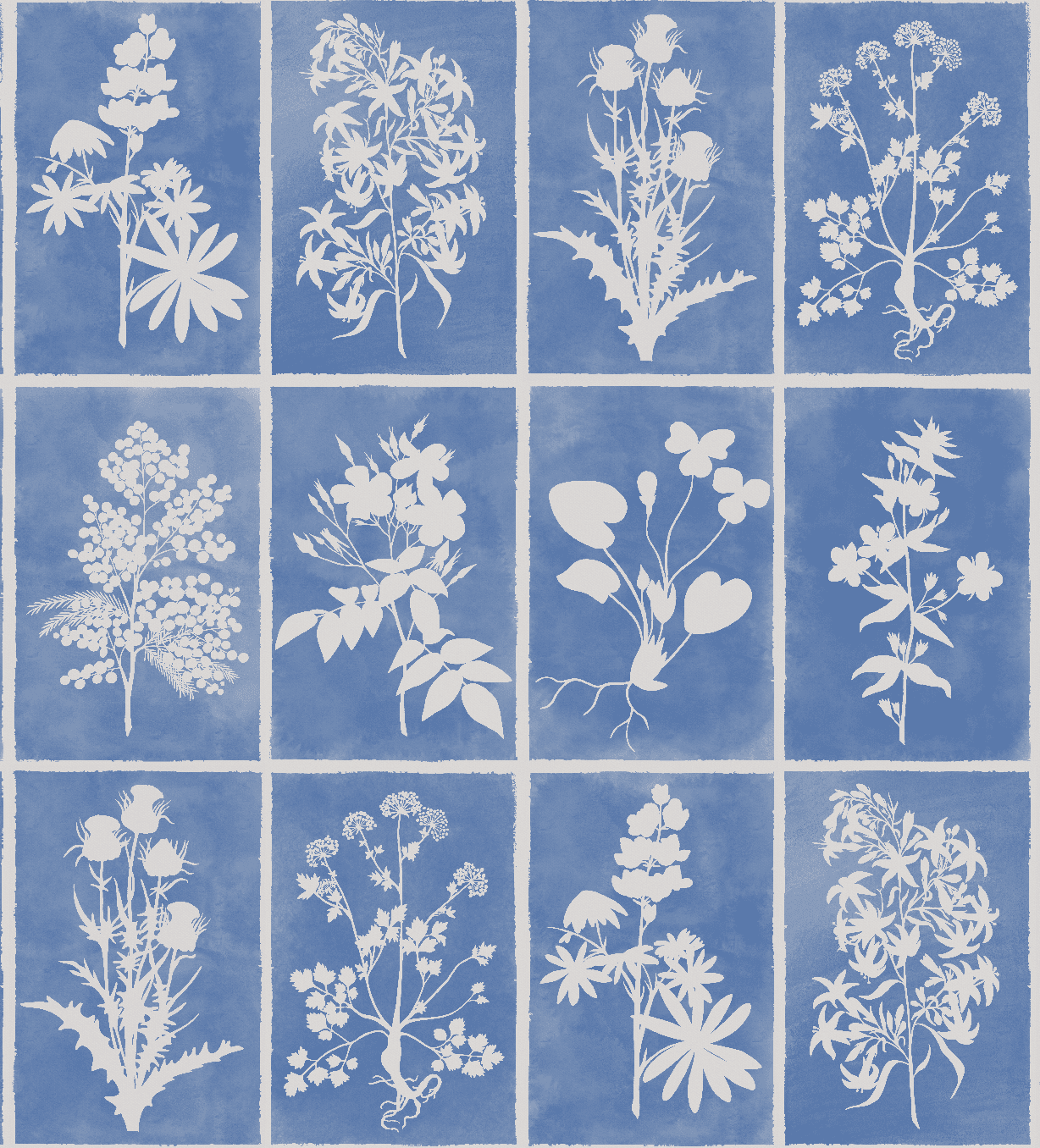 Large Scale Cyanotype Botanical Herbarium