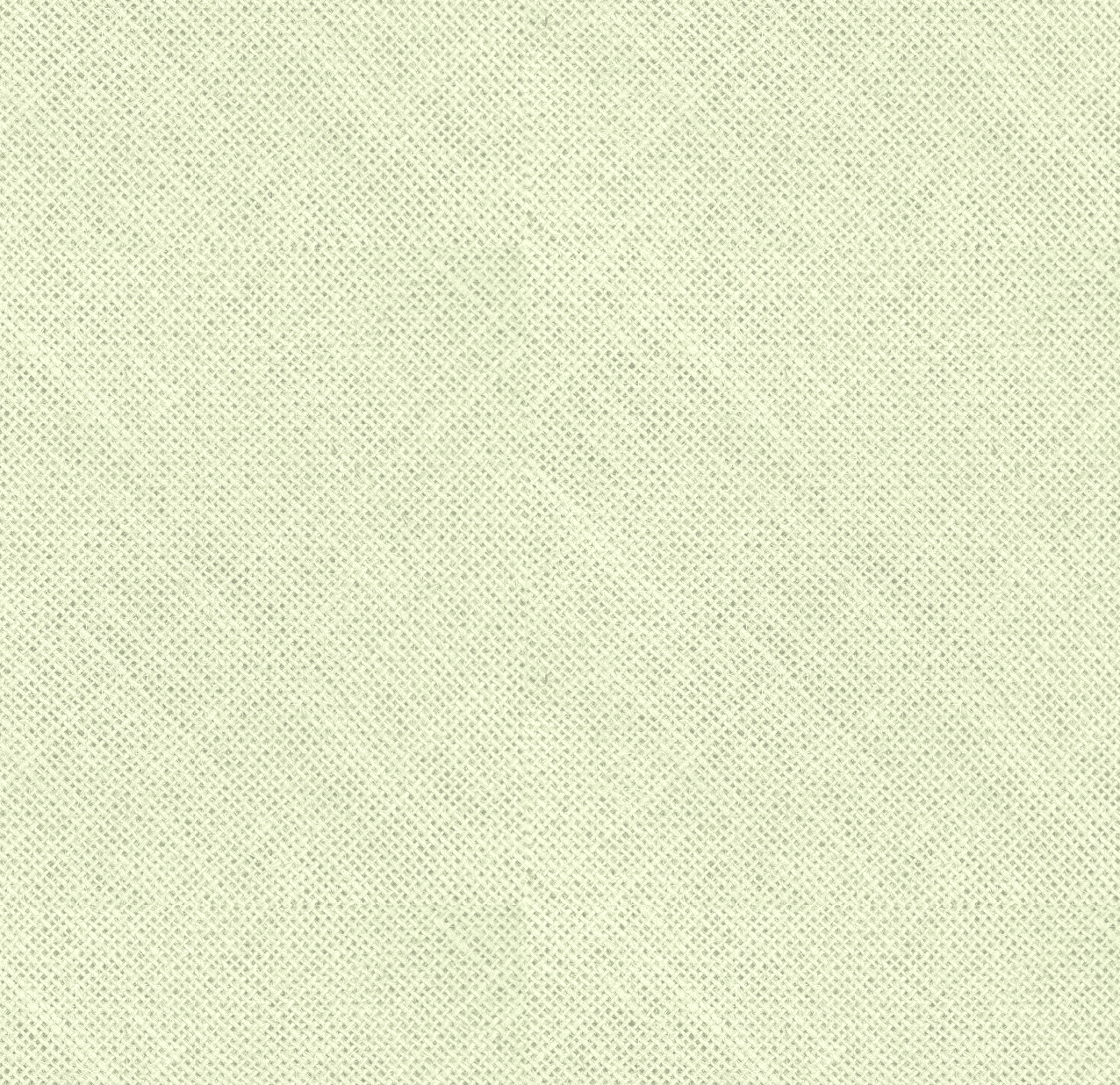 Diagonal Weave Canvas Texture